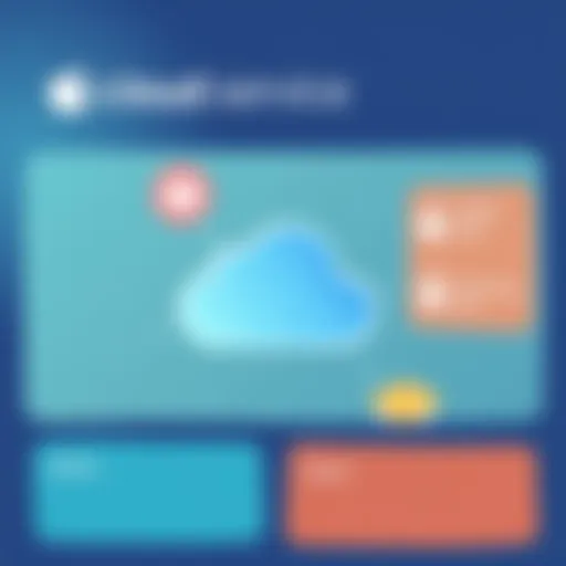 Overview of iCloud service options