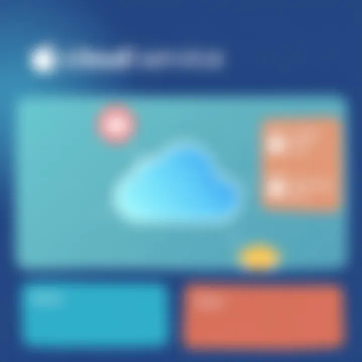 Overview of iCloud service options