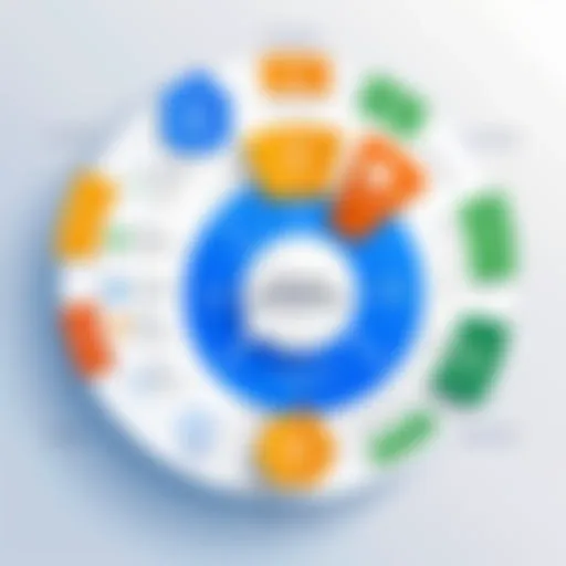 Visual representation of ALM systems.
