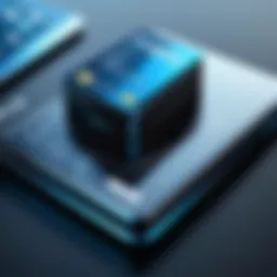 Analyzing digital payment solutions in a business context