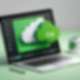 Overview of Evernote's cloud storage interface