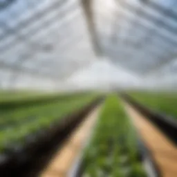 Innovative greenhouse technology for ADP integration
