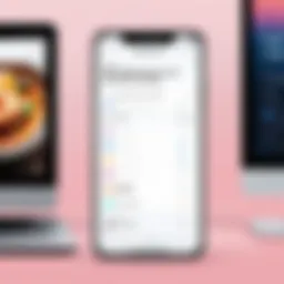 User-friendly interface of Klarna on Shopify