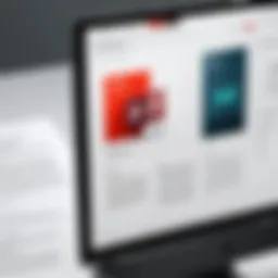 Overview of Adobe Standard's PDF editing interface