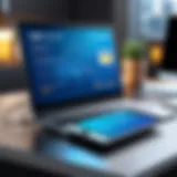 Visual representation of Cybersource payment processing interface