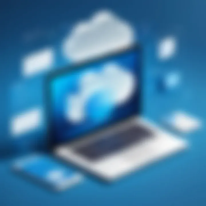 Cloud-based payroll solution benefits visualization