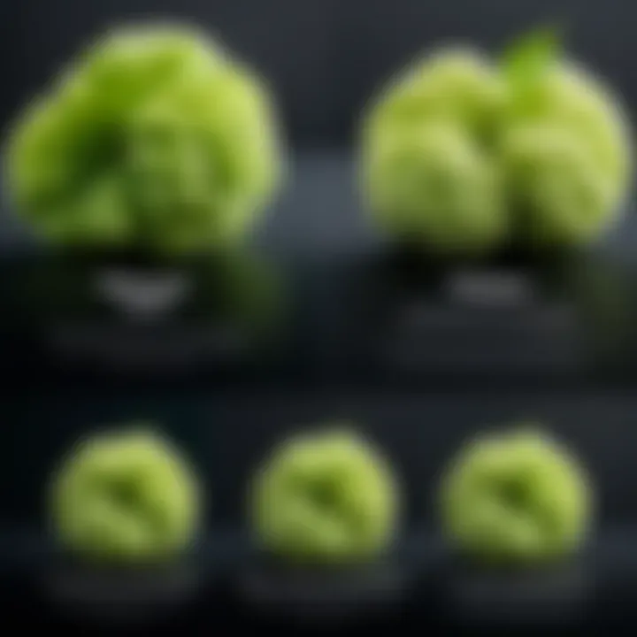 Comparison chart of wasabi preservation methods and their effectiveness