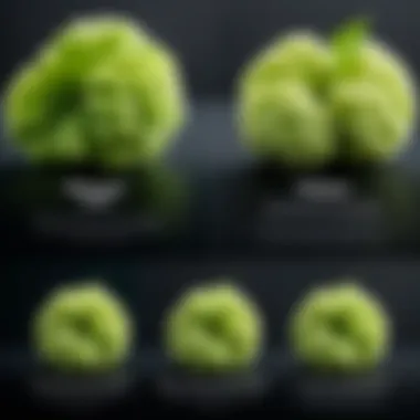 Comparison of Preservation Methods for Wasabi Comparison chart of wasabi preservation methods and their effectiveness
